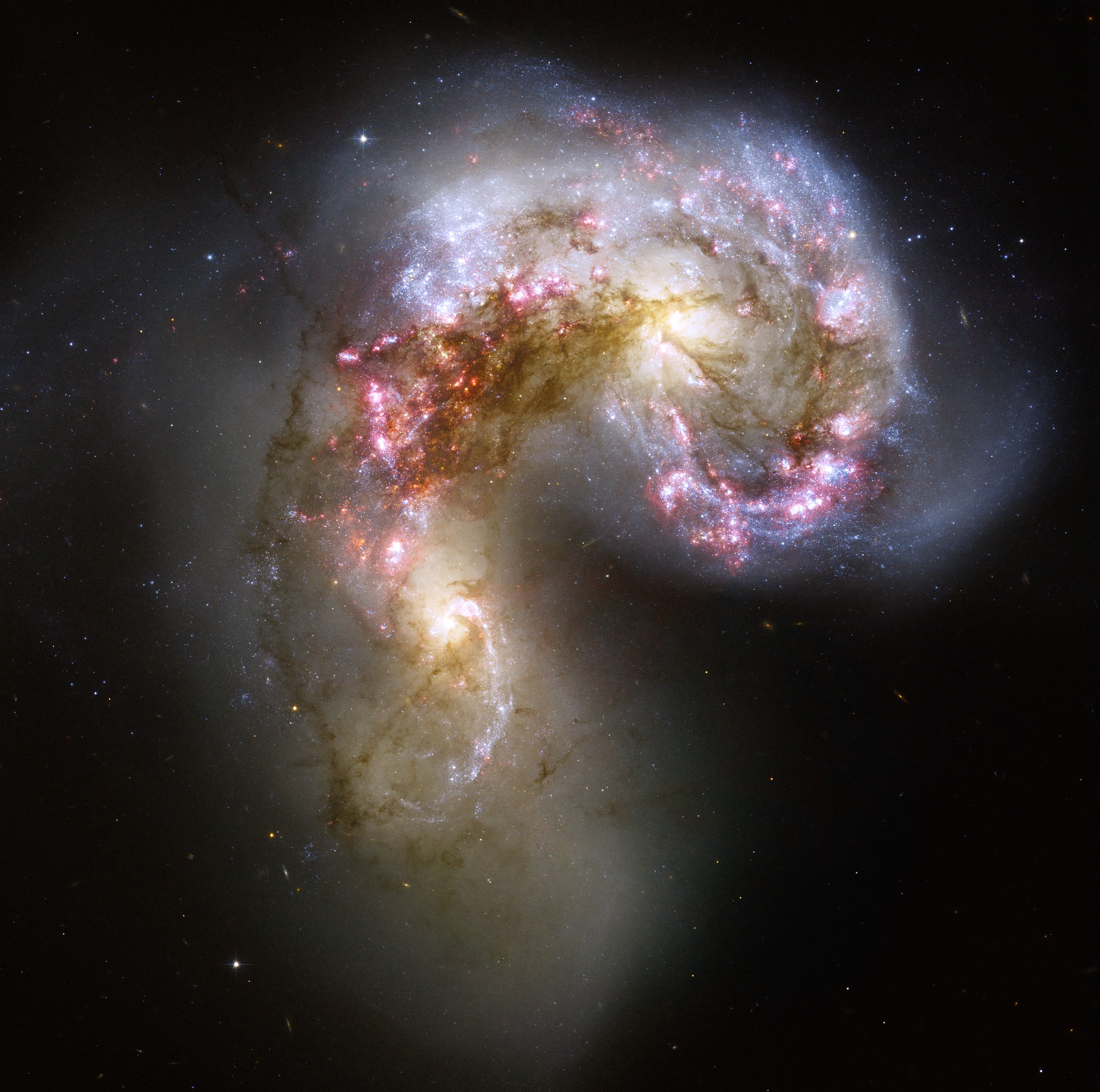 ESA/Hubble image of the interacting Antennae Galaxies.